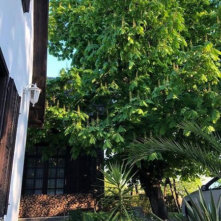 Echo Apartman Tihany Dış mekan fotoğraf