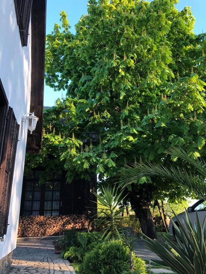 Echo Apartman Tihany Dış mekan fotoğraf